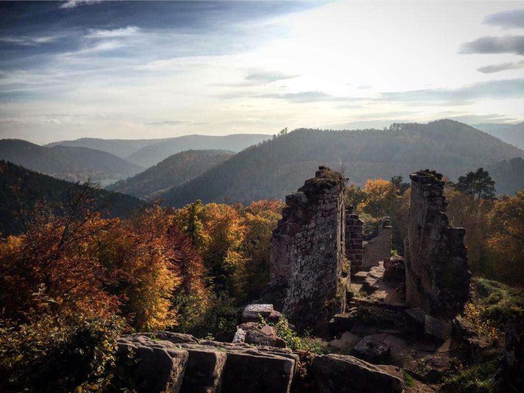 Meubles De Tourisme Heidelbeere Daire Dambach Dış mekan fotoğraf